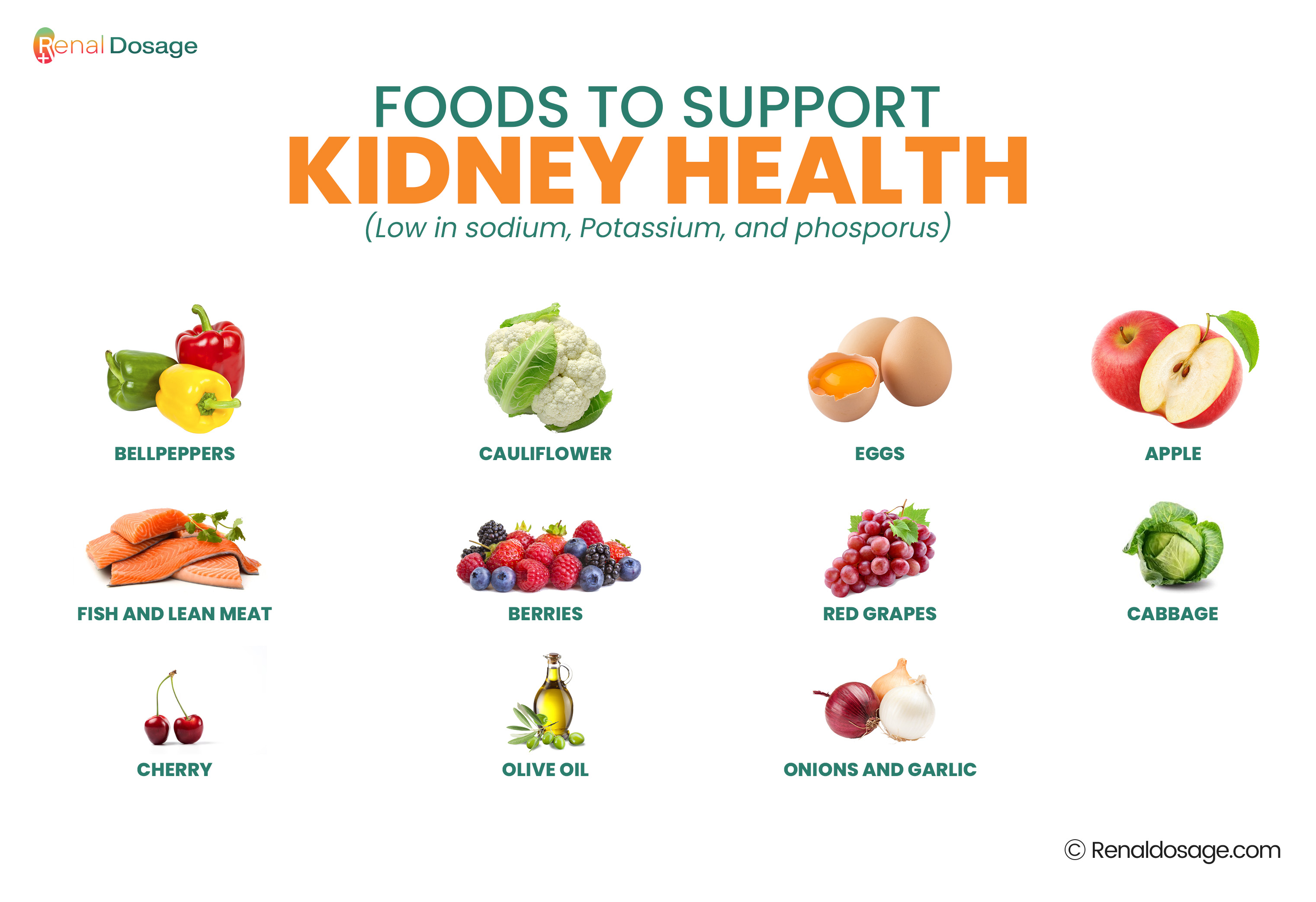 foods to support